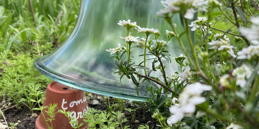 Le potager et la glacière